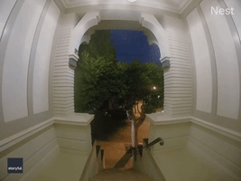 FedEx Driver Chucks Package Onto Porch Without Leaving Truck