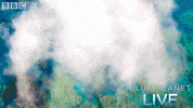 bbc one oceans GIF by BBC