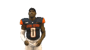 Interception Sticker by Carson-Newman Athletics