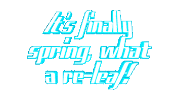 Gifart Opticalartinc Text Visuals Phrase Statement Wordart Gif 3D Art Caption Contemporary Sticker by OpticalArtInc.