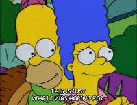 homer simpson GIF