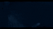 jason derulo if it aint love GIF
