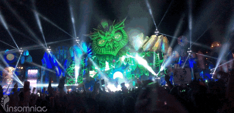 insomniacevents giphyupload rage lit edc GIF