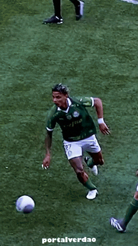 portalverdao palmeiras flamengo sep verdao GIF