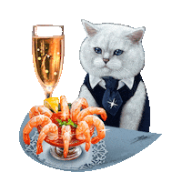 Cat Britishcat Sticker by British cats cattery and Apollo cat.