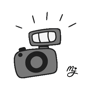 Camera Action Sticker by Jenn Edwards