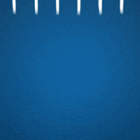 Jamal Lowe Football GIF by Wigan Athletic