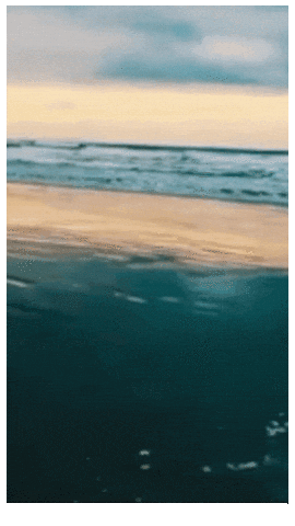 Tommygravenmusic giphyupload tommy native flute GIF