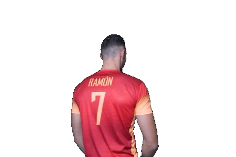 Volleyball Jordi Ramon Sticker by RedLynxes