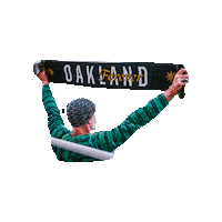 Soccer Banner Sticker by Oakland Roots SC