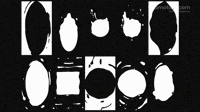 Animated Liquid Loops Vertisal Stories