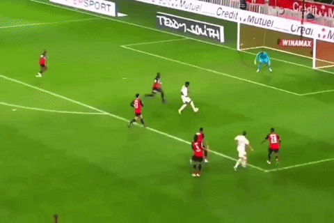 petahouse  GIF