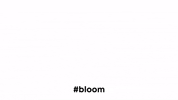 trainbloom fitness workout monday bloom GIF
