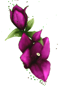 Art Flower Sticker