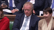 news uk british brexit parliament GIF