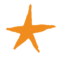 Happy Star Sticker by Celebration Homes