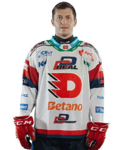 Lukas Radil Hockey Sticker by HC Dynamo Pardubice