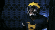 College Football GIF by Michigan Athletics
