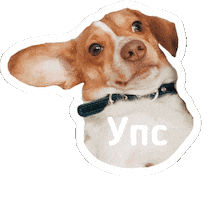 Dog Smile Sticker