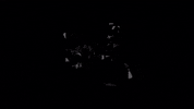 music video animation GIF by Andrey Smirny