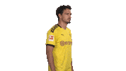 Proud Line Up Sticker by Bundesliga