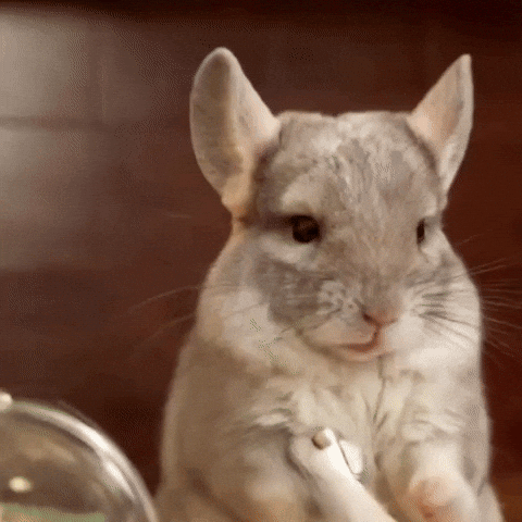 Pancake Sue GIF
