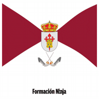 Castilla-La Mancha Bandera GIF by Formación Ninja