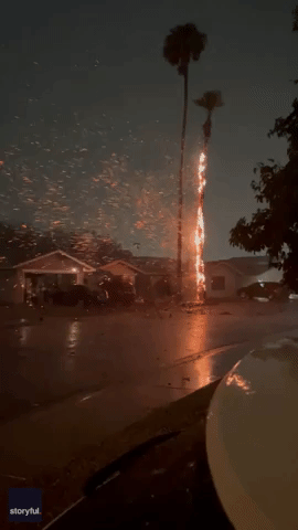 Palm Tree Catches Fire After Lightning Strike in Arizona