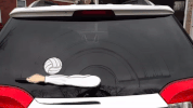wipertags girls volleyball bump set.arm.wiper.wipertag.wipertags.vehicle.accessory.team.girl GIF