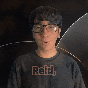 Raid Read GIF