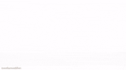 Money Gold GIF by Mediamodifier