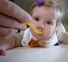 morning breakfast GIF