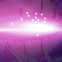 107SteakandBar 107steakandbar 107ladiesnight GIF