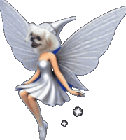 Team Pekingese Sticker by Caravan of Paws