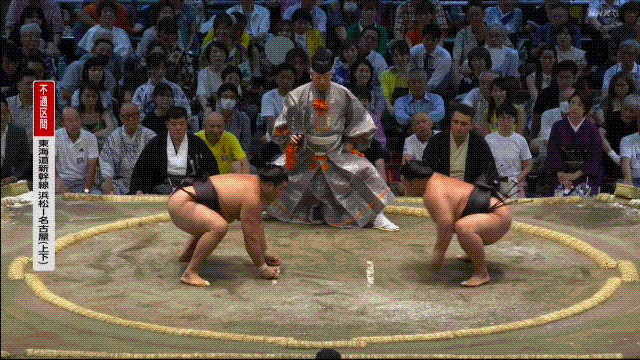 TZ85 giphyupload GIF
