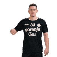 Rkgv Rokometniklubgorenjevelenje Gorenje Velenje Črnorumenokoteno Gorenjevelenje Handball Sticker by RK Gorenje Velenje