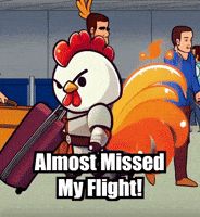 Rush Hour Travel GIF by Zorooster