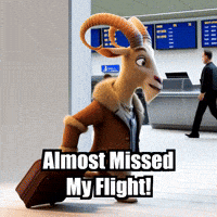 Travel Adventure GIF by Radiantelope