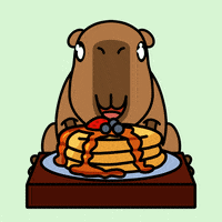 Excited Good Morning GIF