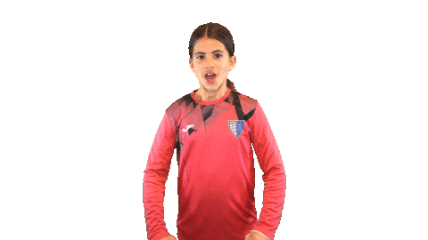 Football Celebrating Sticker by Inter Club d'Escaldes
