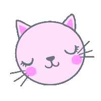yashassegawa cat cats kitty gato Sticker
