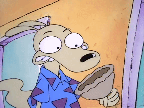 rockos modern life nicksplat GIF