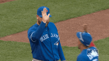 High Five Major League Baseball GIF by MLB