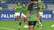 Try Nrl GIF by Canberra Raiders