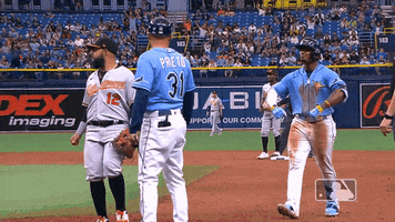 Celebrate Major League Baseball GIF by MLB