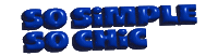 CHER17ua cher17 Sticker