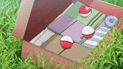 Pokemon Anime Suitcase GIF by Pokémon