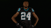 James Bradberry Football GIF by Carolina Panthers