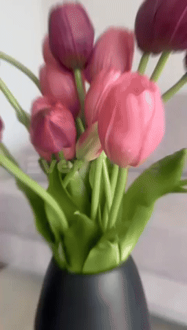 GIPHYGIP1 giphyupload GIF
