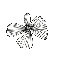 Flower Drawing Sticker by Jinny Ngui Design